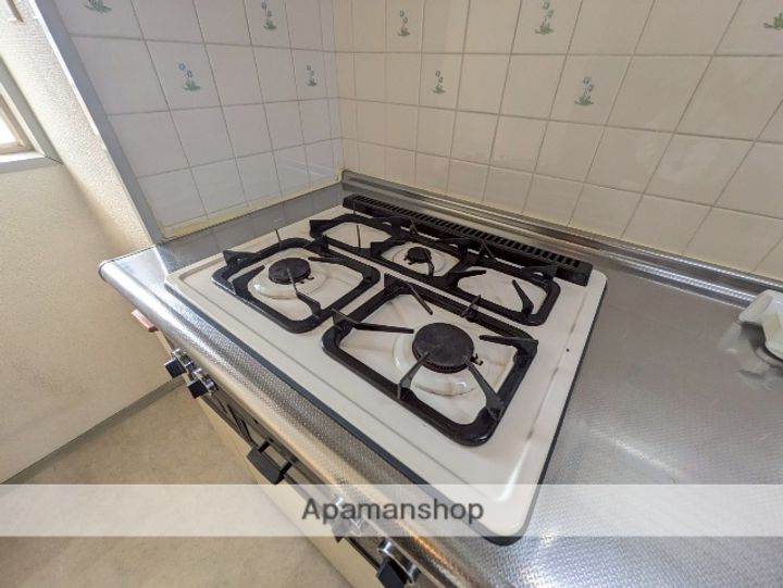 広島県広島市南区皆実町4丁目の賃貸マンションの内装