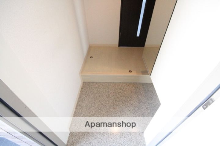 広島県広島市中区大手町5丁目の賃貸マンションの玄関