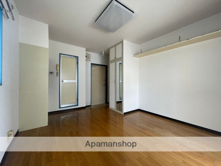 広島県広島市西区草津南1丁目の賃貸マンションの内装