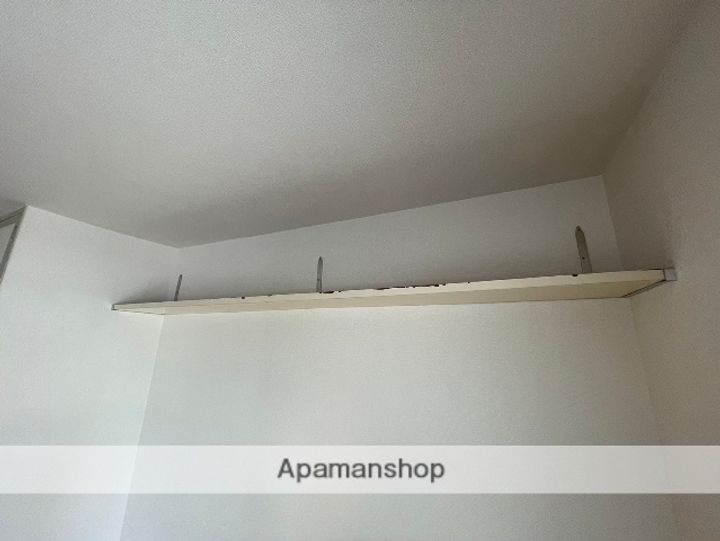 広島県広島市西区草津南1丁目の賃貸マンションの内装