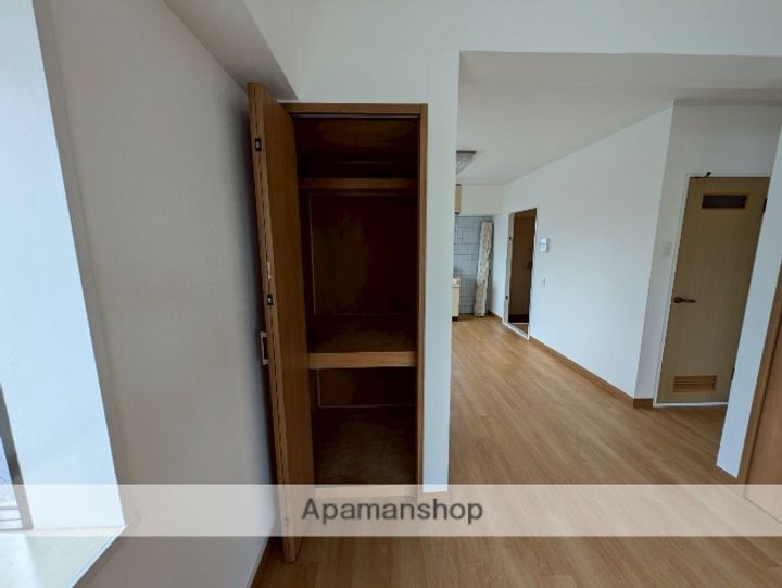 広島県広島市南区東雲3丁目の賃貸マンションの内装