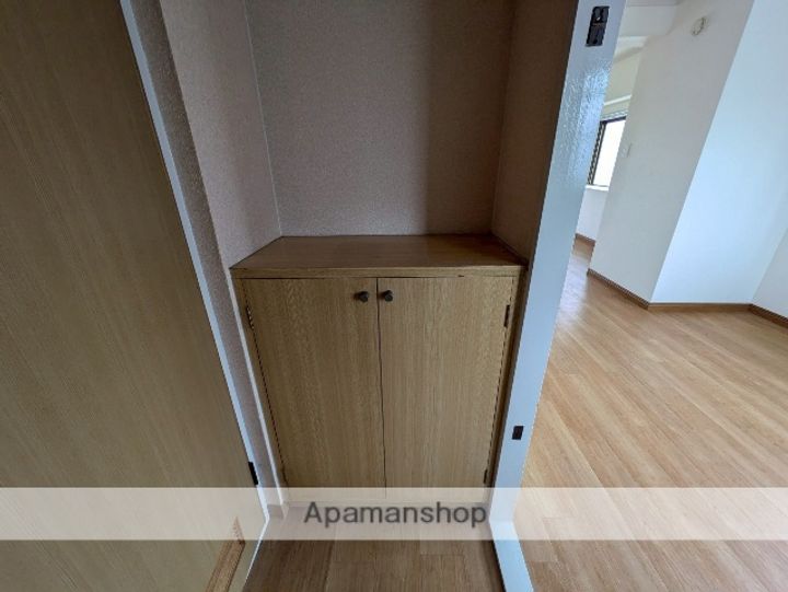 広島県広島市南区東雲3丁目の賃貸マンションの内装