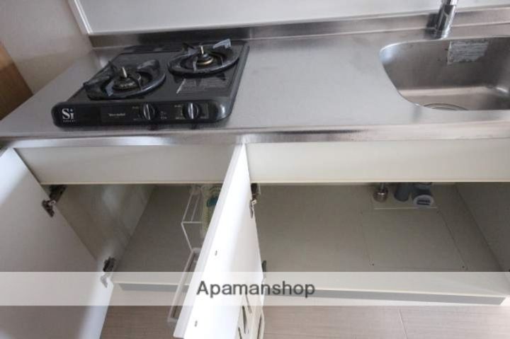 広島県広島市佐伯区海老園1丁目の賃貸マンションの内装