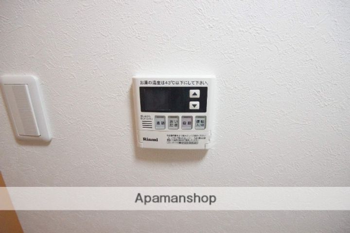 広島県広島市佐伯区海老園1丁目の賃貸マンションの内装