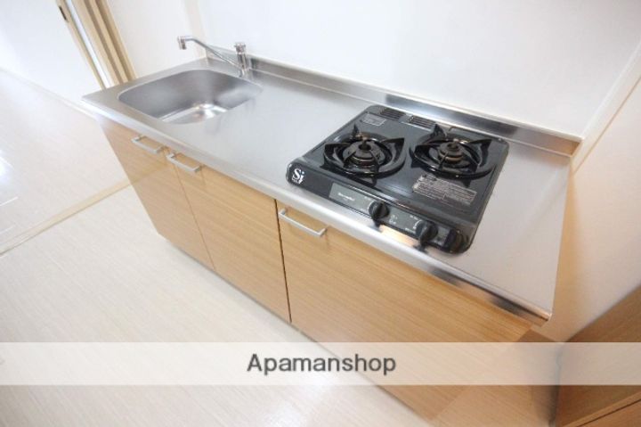 広島県広島市佐伯区海老園1丁目の賃貸マンションの内装