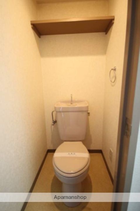 広島県広島市安佐南区大町東1丁目の賃貸マンション306の内装