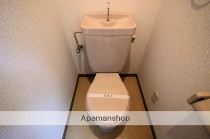 広島県広島市安佐南区大町東1丁目の賃貸マンション306のその他画像