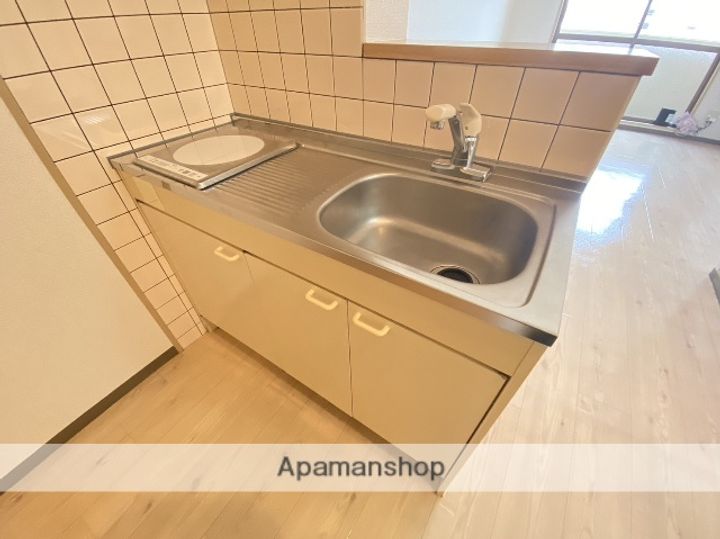 広島県広島市安佐南区上安1丁目の賃貸マンション103の内装