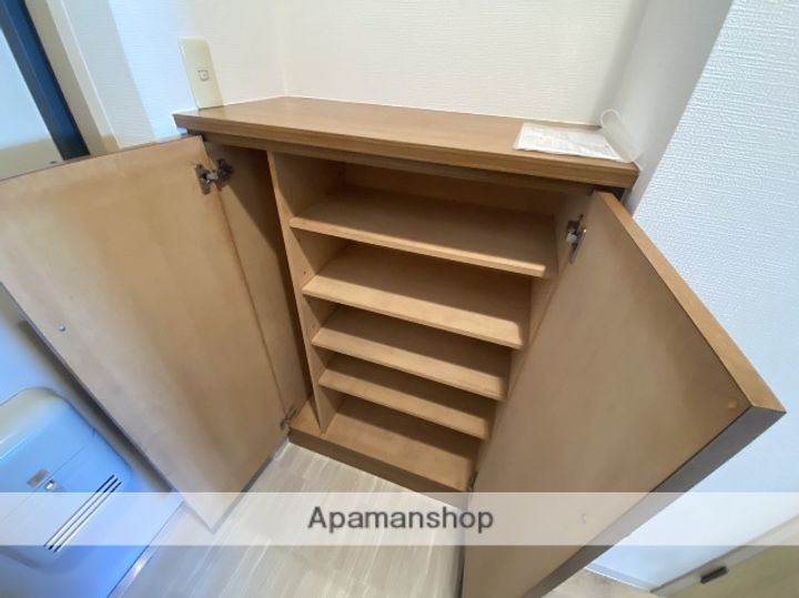 広島県広島市安佐南区上安1丁目の賃貸マンションの内装