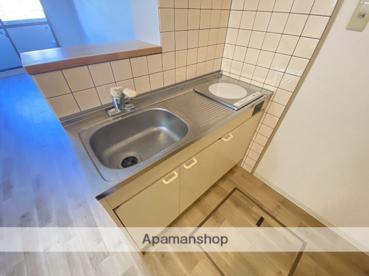 広島県広島市安佐南区上安1丁目の賃貸マンションの内装