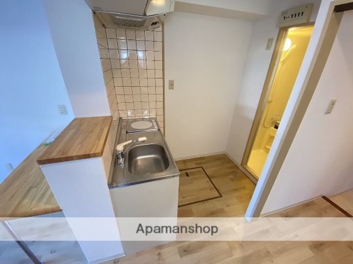 広島県広島市安佐南区上安1丁目の賃貸マンションの内装