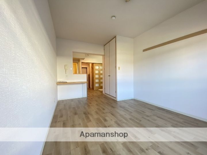 広島県広島市安佐南区上安1丁目の賃貸マンションの居間