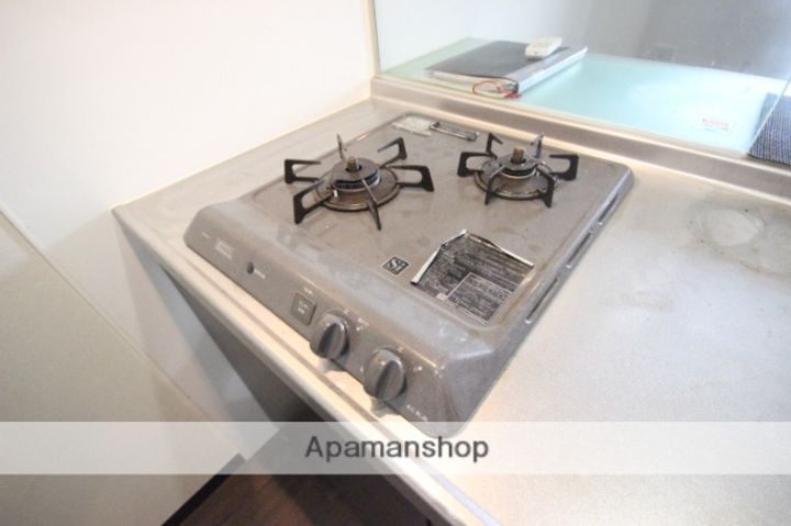 広島県広島市中区鶴見町の賃貸マンションの内装