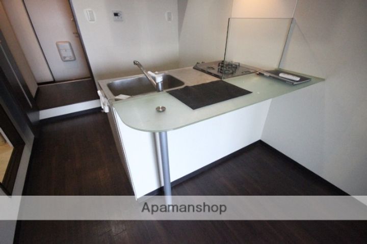 広島県広島市中区鶴見町の賃貸マンションの内装