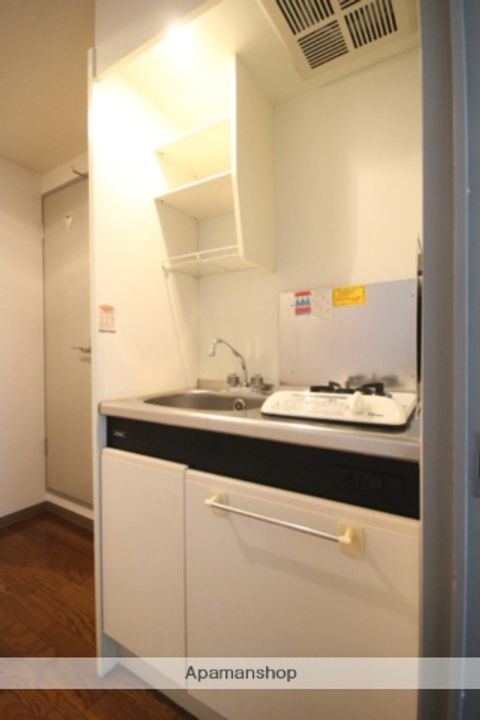 広島県広島市西区草津新町2丁目の賃貸マンションのキッチン