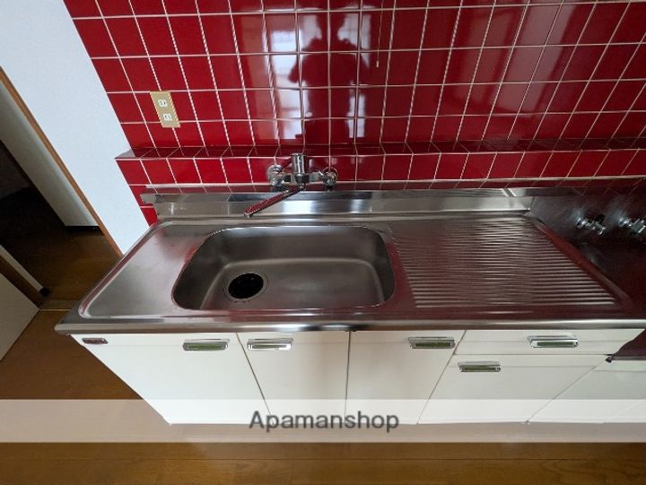 広島県広島市西区南観音7丁目の賃貸マンションの内装