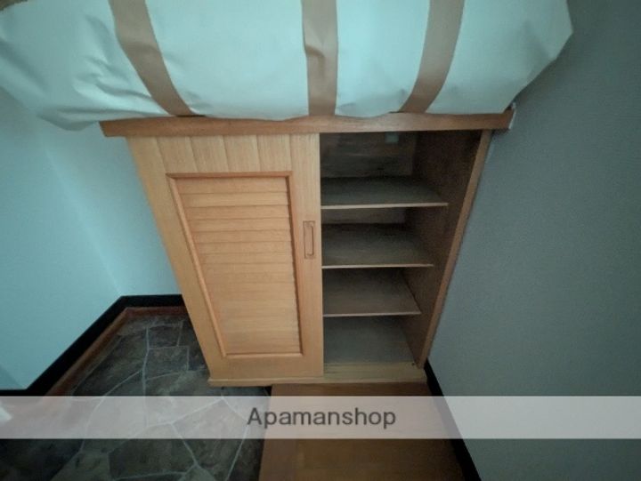 広島県広島市西区南観音7丁目の賃貸マンションの内装