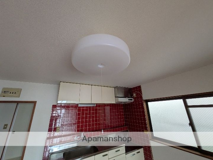 広島県広島市西区南観音7丁目の賃貸マンションの内装