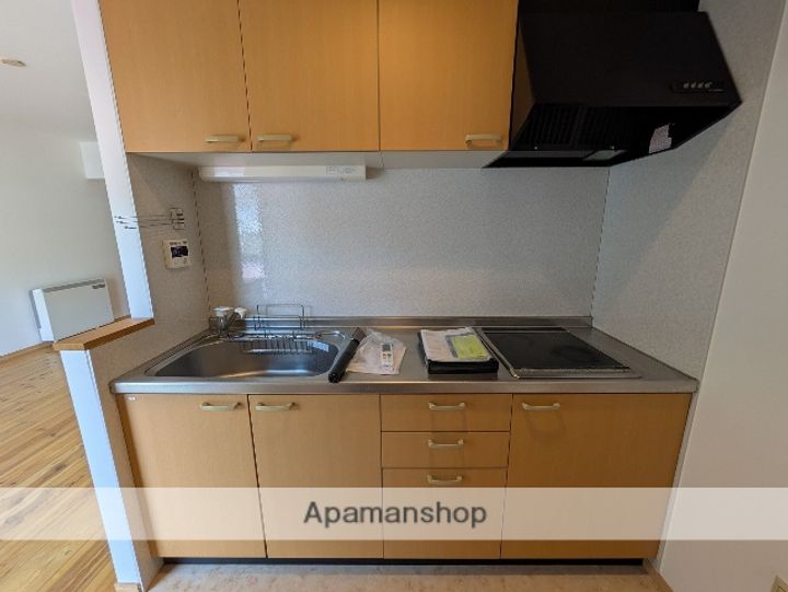 広島県広島市中区小網町の賃貸マンションのキッチン