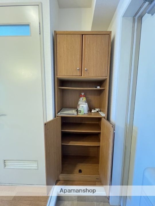 広島県広島市安佐南区大町東3丁目の賃貸マンションの内装