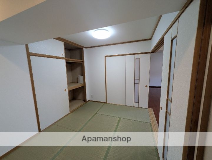 広島県広島市中区上幟町の賃貸マンションの内装