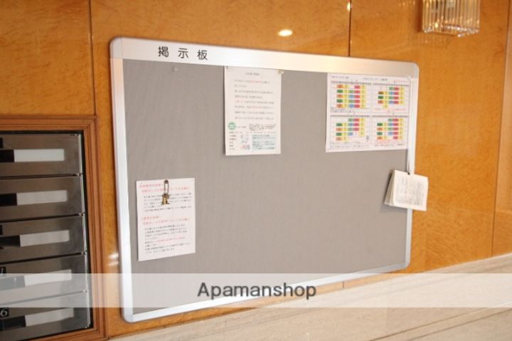 広島県広島市中区白島北町の賃貸マンションのその他画像