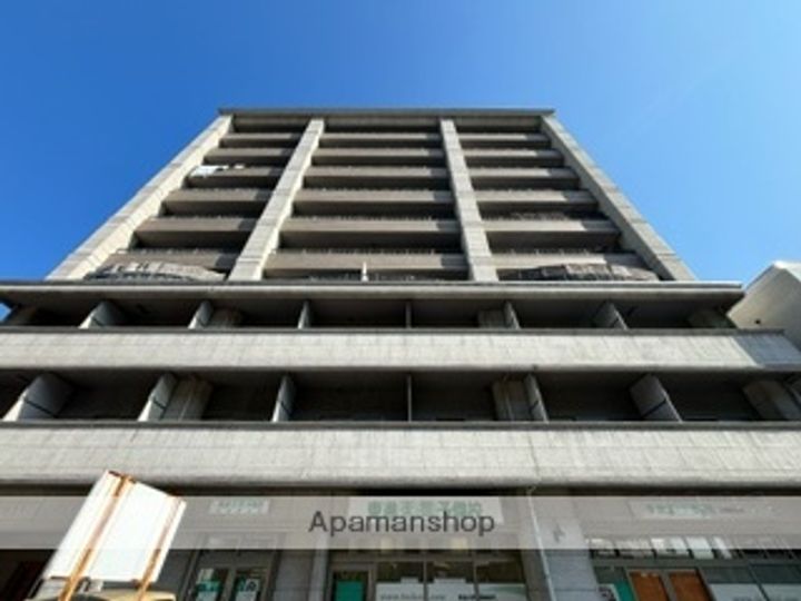 広島県広島市中区白島北町の賃貸マンションの外観