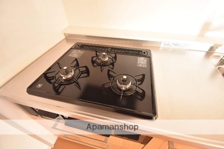 広島県広島市中区大手町5丁目の賃貸マンションの内装