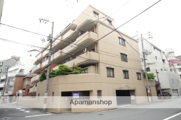 広島県広島市中区大手町5丁目の賃貸マンションの外観