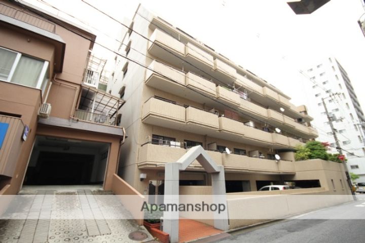 広島県広島市中区大手町5丁目の賃貸マンションの外観