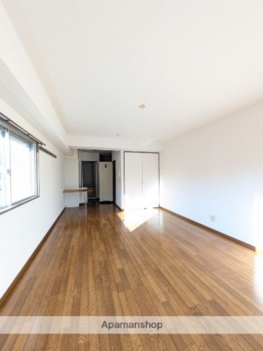 広島県広島市安佐南区上安2丁目の賃貸マンションの内装