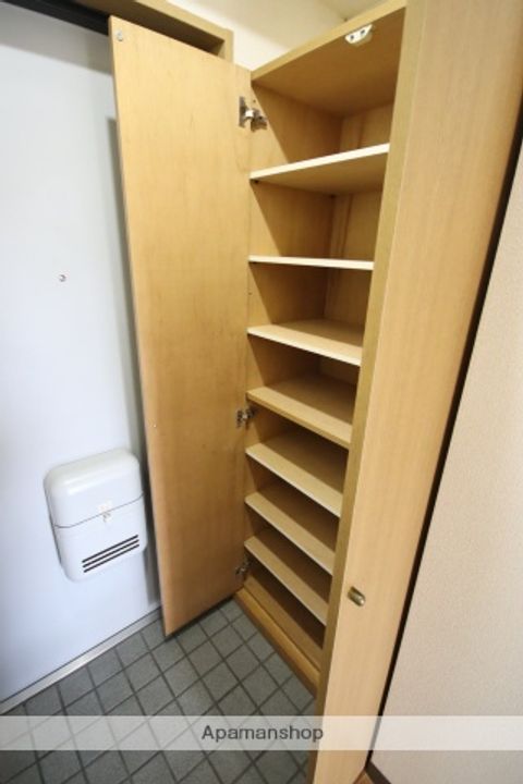 広島県広島市安佐南区中須2丁目の賃貸マンションの内装