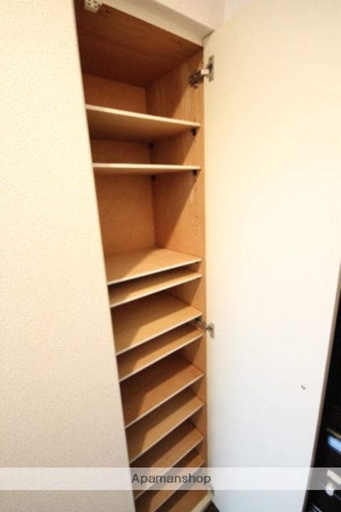 広島県広島市中区舟入本町の賃貸マンションの内装