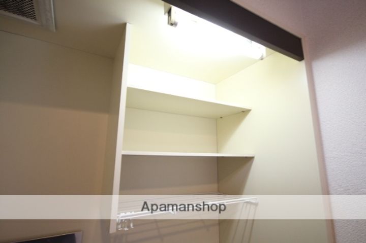 広島県広島市中区舟入本町の賃貸マンションの内装