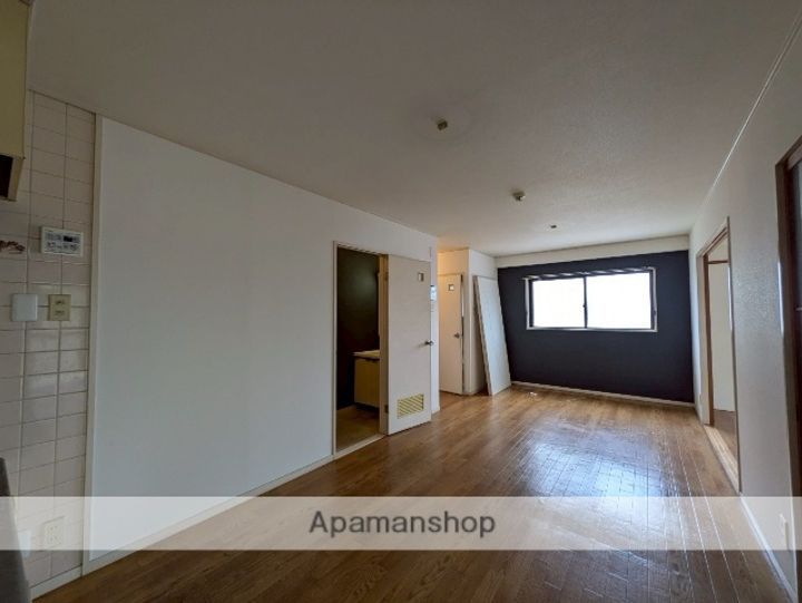 広島県広島市南区松川町の賃貸マンションの内装