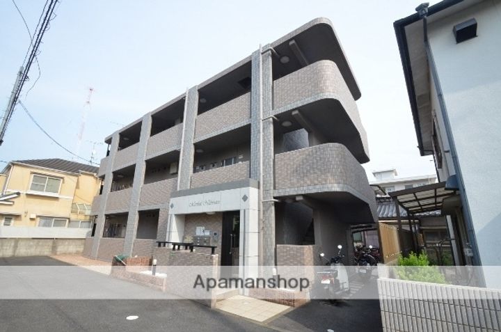 広島県広島市安佐南区西原4丁目の賃貸マンションの外観