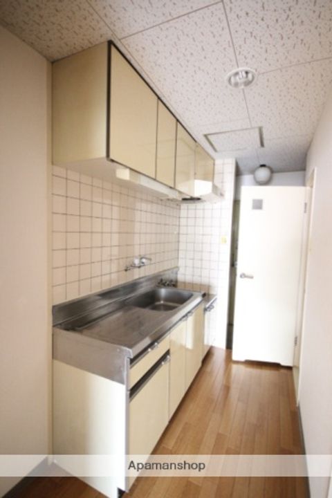 広島県広島市安佐南区相田1丁目の賃貸マンションの内装