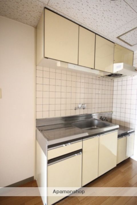 広島県広島市安佐南区相田1丁目の賃貸マンションのキッチン