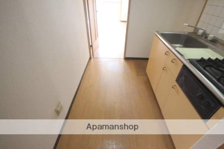 広島県広島市安佐南区中筋2丁目の賃貸マンションの内装