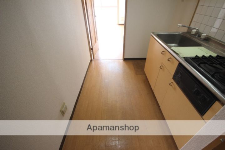 広島県広島市安佐南区中筋2丁目の賃貸マンションの内装