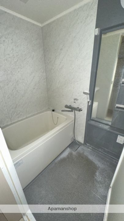 広島県広島市中区鶴見町の賃貸マンション1104の風呂