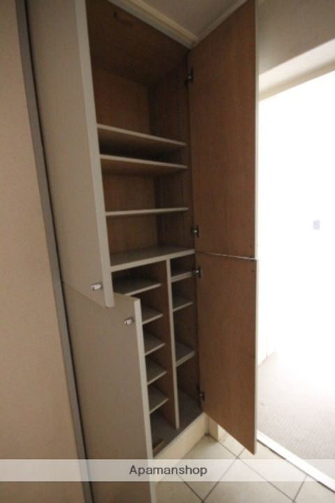 広島県広島市西区井口3丁目の賃貸マンションの内装