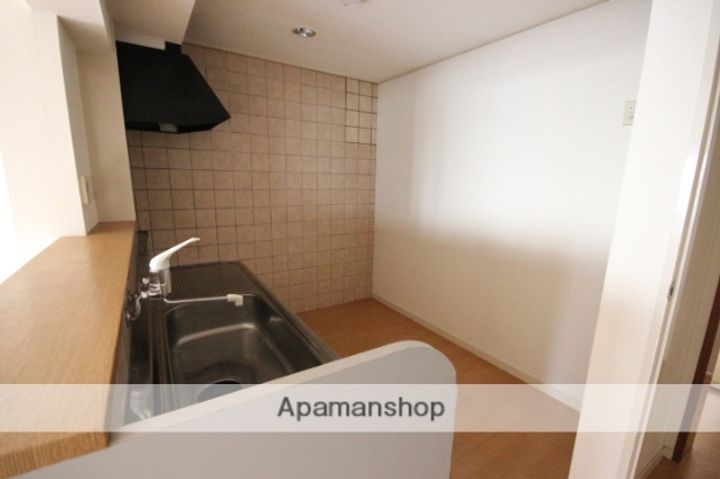 広島県広島市西区井口3丁目の賃貸マンションの内装