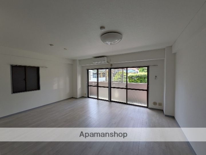 広島県広島市中区大手町3丁目の賃貸マンションの内装