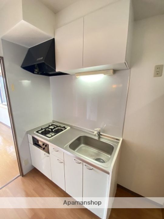 広島県広島市安佐南区伴東2丁目の賃貸マンション304のキッチン