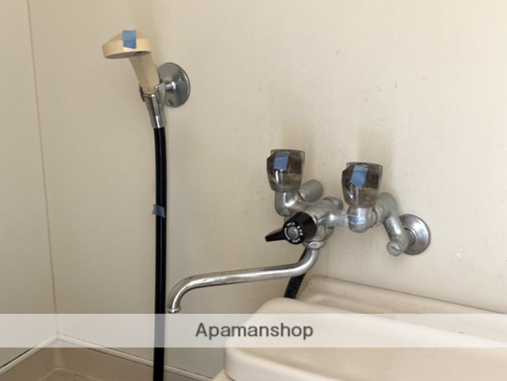 広島県広島市安佐南区上安2丁目の賃貸マンションの内装