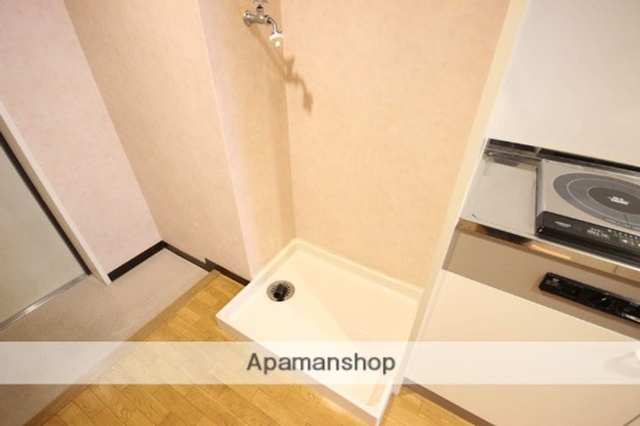 広島県広島市南区段原1丁目の賃貸マンションの内装