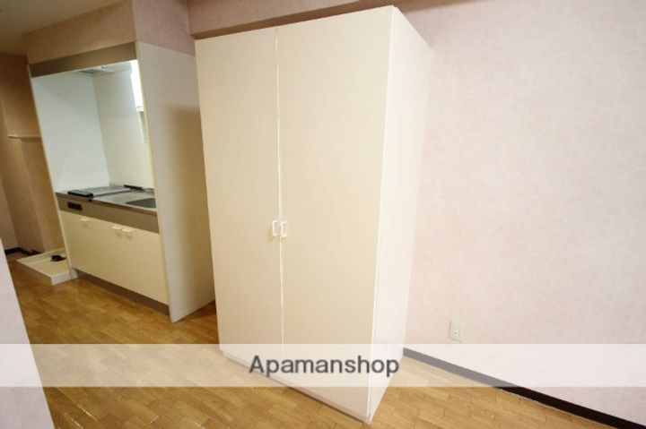 広島県広島市南区段原1丁目の賃貸マンションの内装