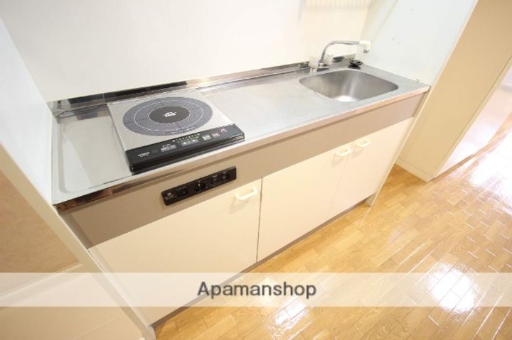 広島県広島市南区段原1丁目の賃貸マンションのキッチン