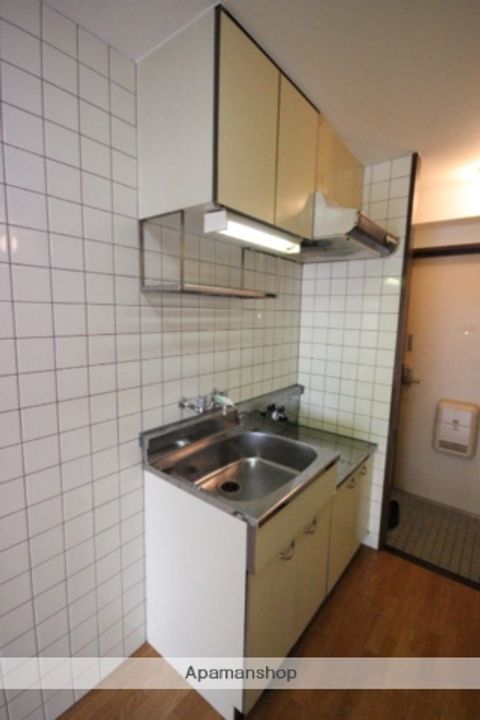 広島県広島市安佐南区西原4丁目の賃貸マンションのキッチン